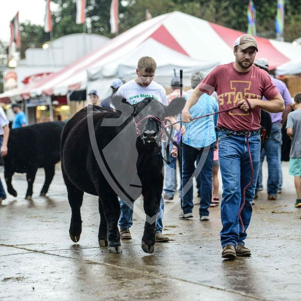 Meet your Posher, Caleb